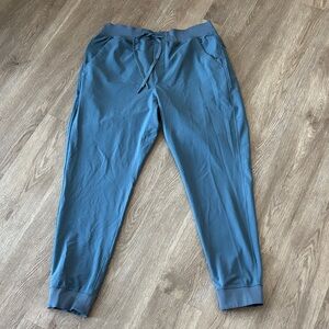 Birddogs Men’s jogger. XL.